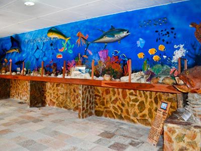 Hotel Brisas Marinas 3*